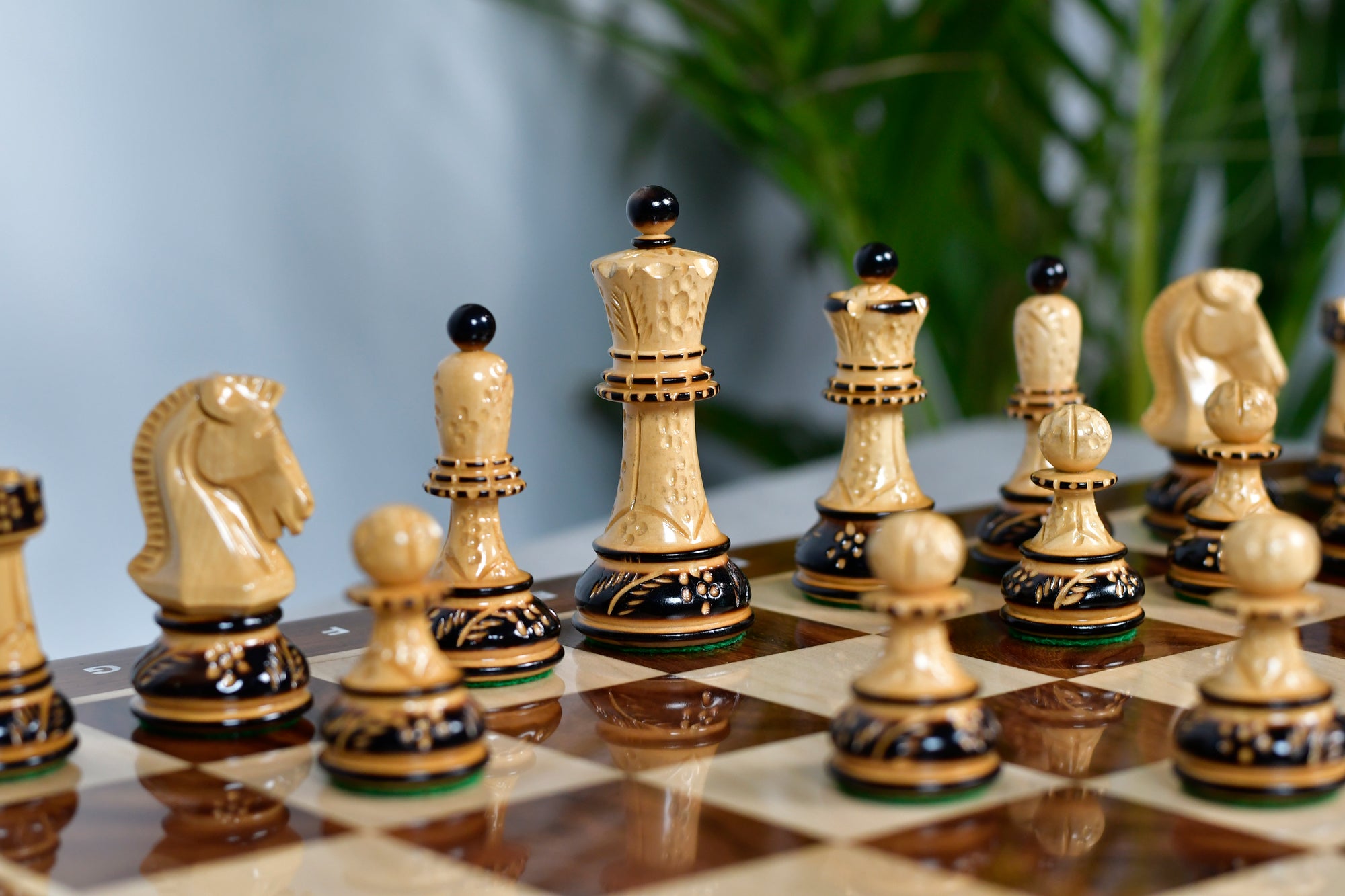 1950s' Fischer Dubrovnik Chess Pieces Set (Lacquerd) Finished Burnt & Natural Box Wood - 3.7" King