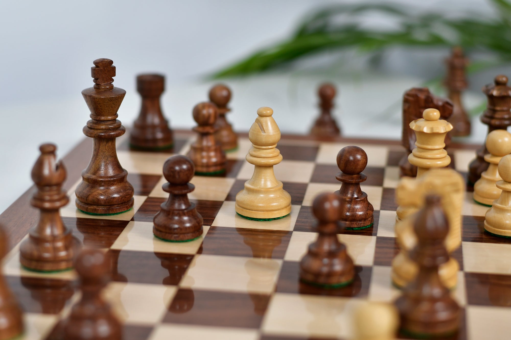 French Lardy Exclusive Wooden Chess Pieces – Handcrafted in Sheesham & Boxwood | 3" King with Extra Queens