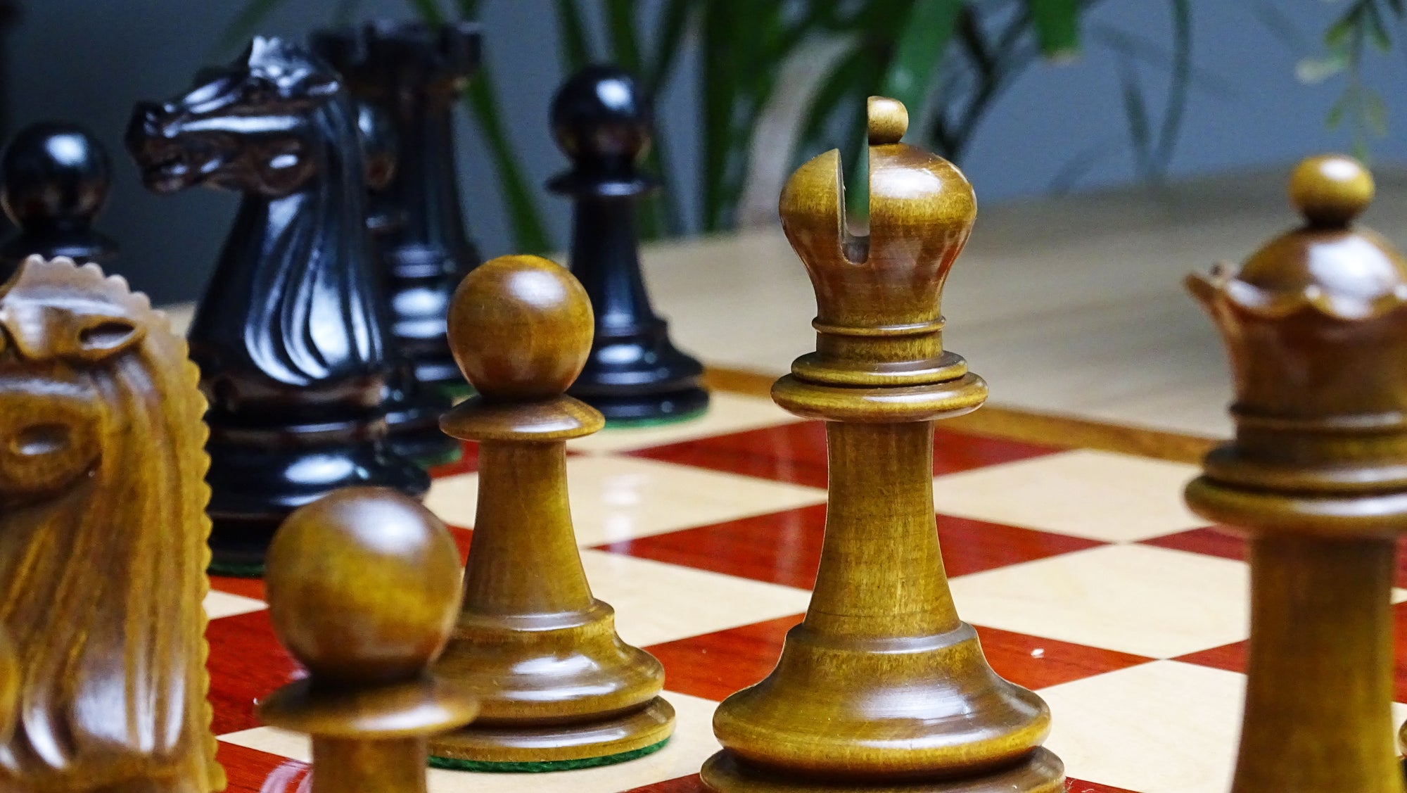 Circa 1887 Turner Teich Soviet-Staunton Style Weighted 4" Chess Pieces in Ebony & Antiqued Boxwood - 1700 Grams Weight