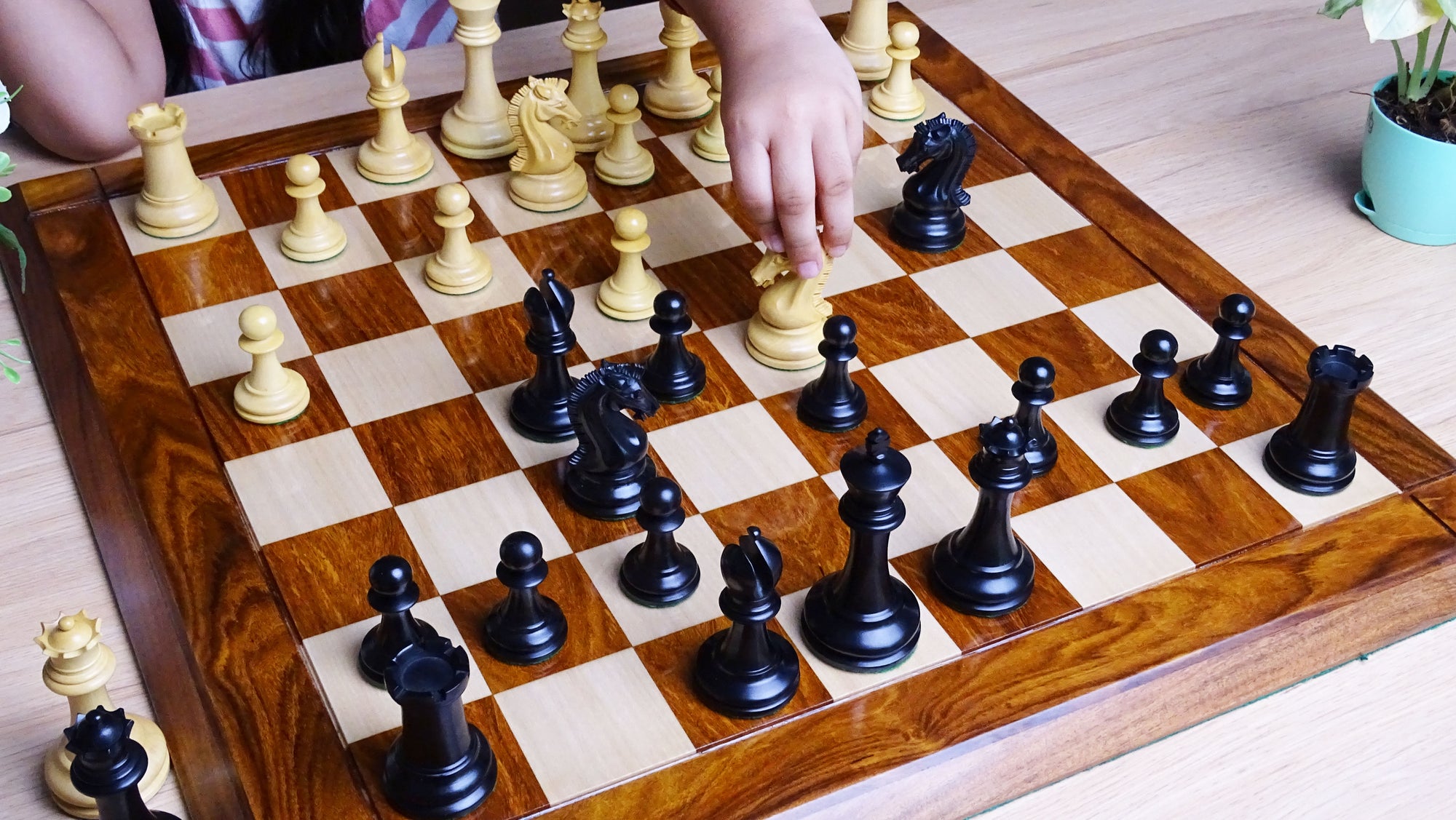 Weighted Chess Pieces in Boxwood