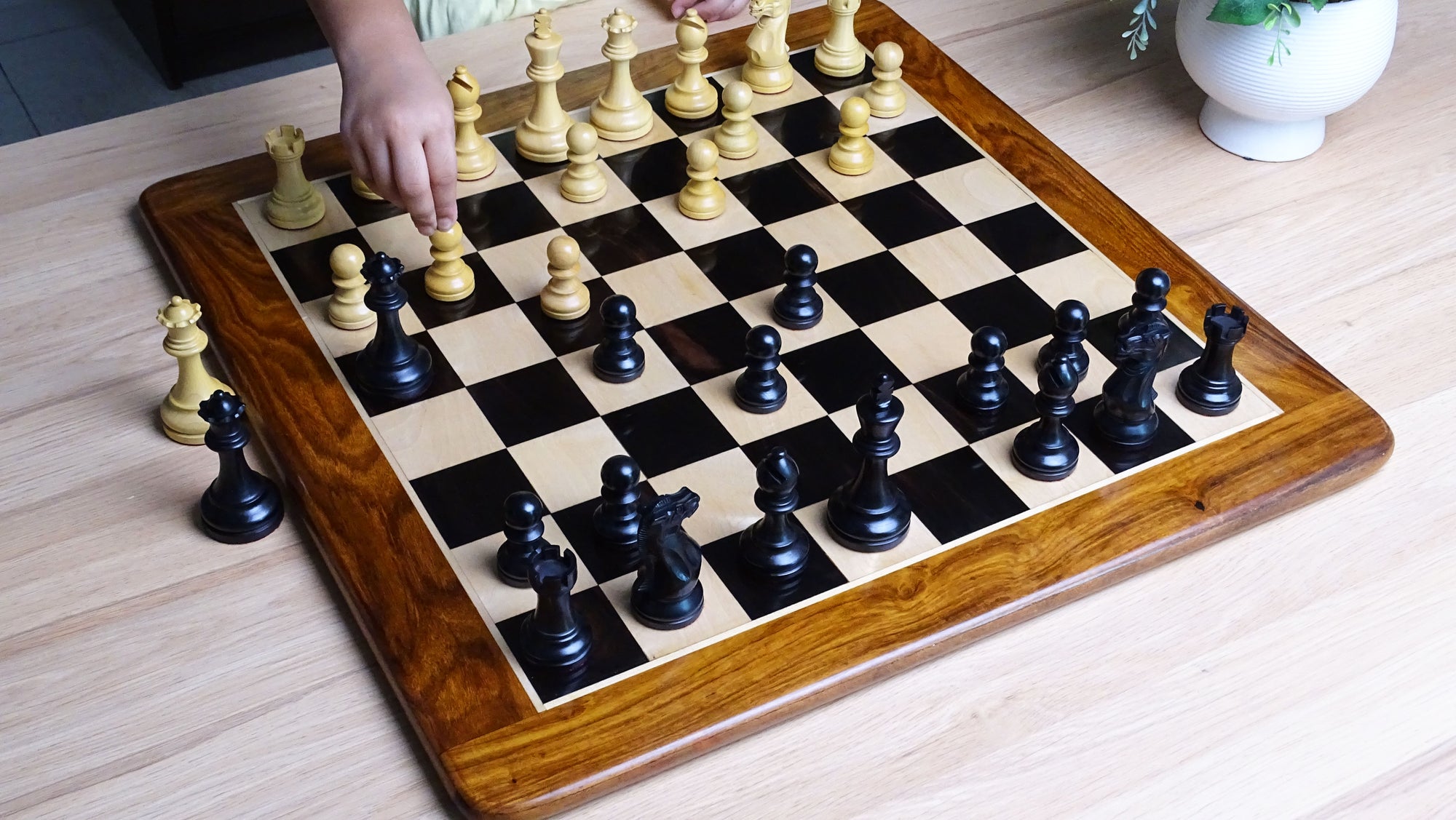 chess retailers
