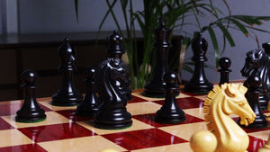 classic boxwood chess set