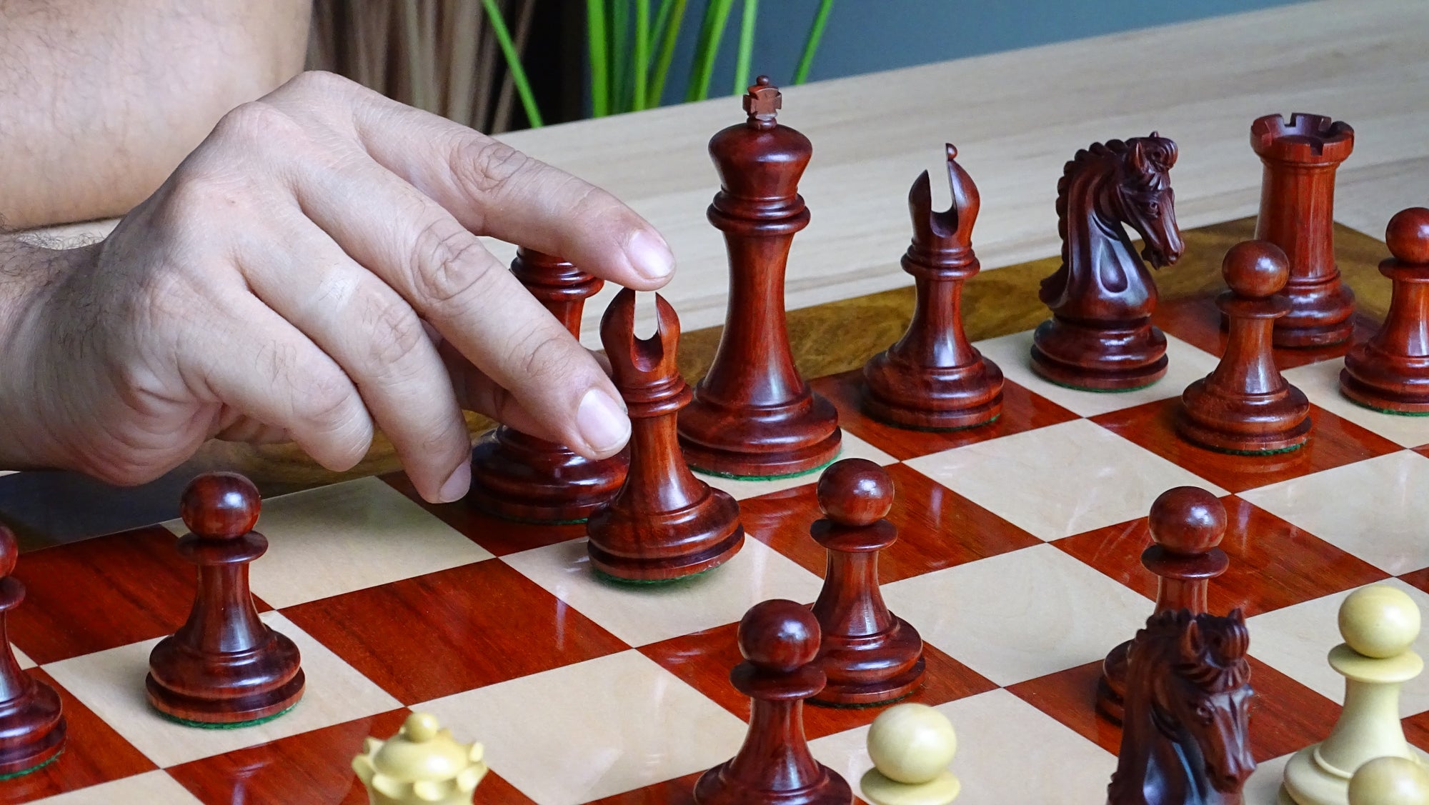 rule book for chess
